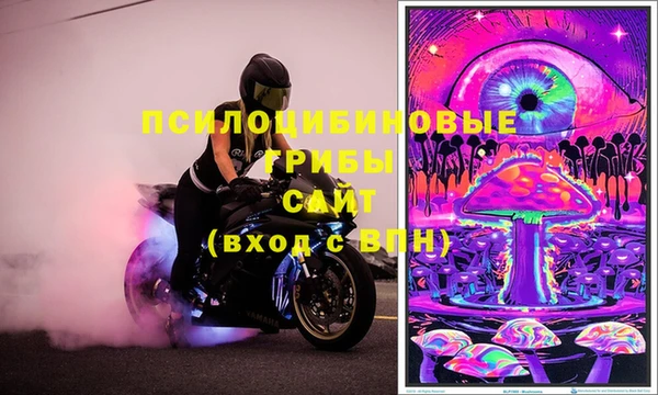 не бодяженный Иннополис
