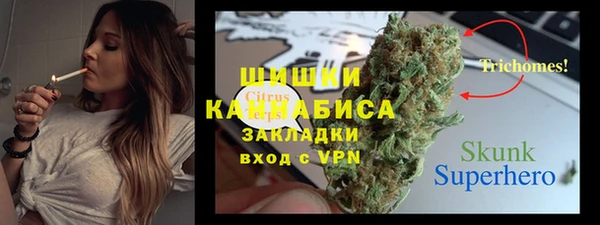 не бодяженный Иннополис
