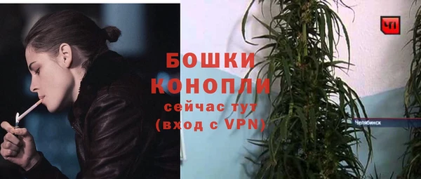 не бодяженный Иннополис