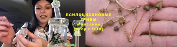 герыч Инта