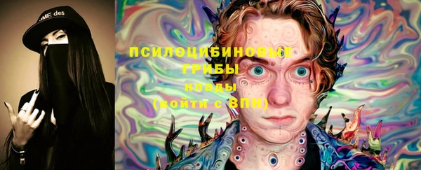 не бодяженный Иннополис